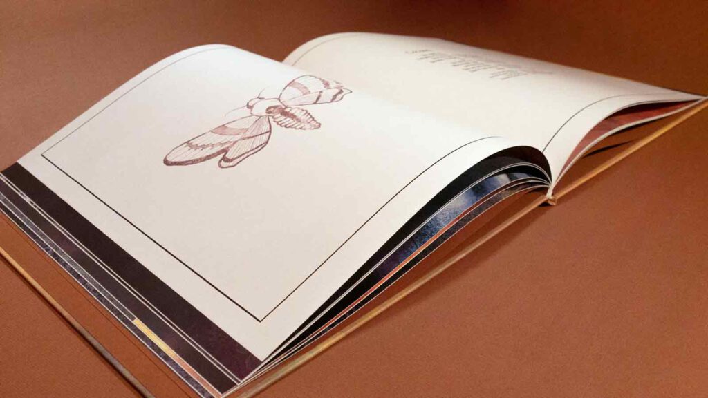 Illustration und Design Hamburg/Artwork/Mute Parrot geoeffnetes Booklet/amvspreckelsen